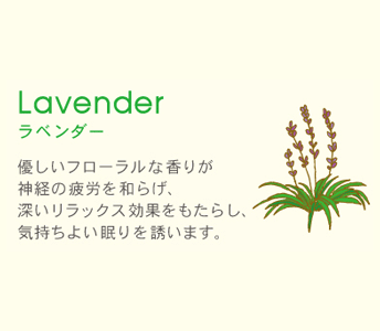 精油ラベンダー画像